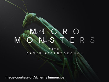 Micro Monsters: mighty next-gen immersive content in stunning 8K