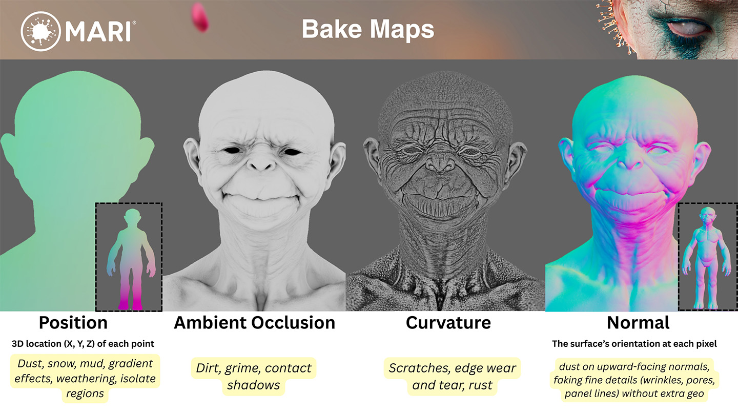 Different types of Bake Maps in the Bakery in Mari