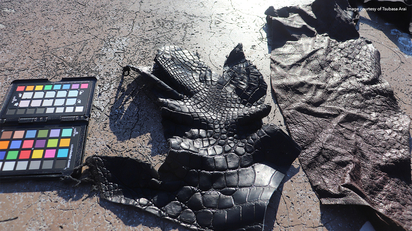Examples of reference materials, including leather