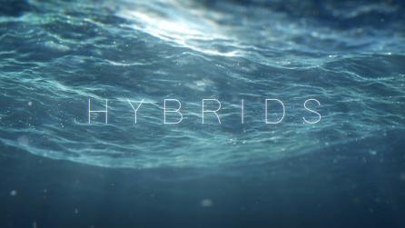 Hybrid