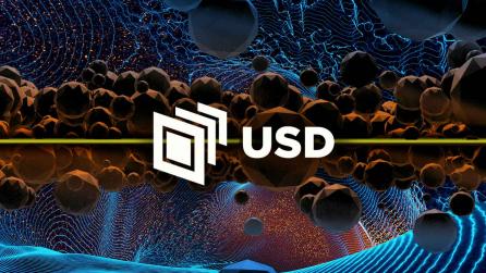 USD explainer guide