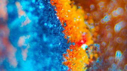 Abstract colorful imagery