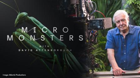 Micro Monsters with David Attenborough