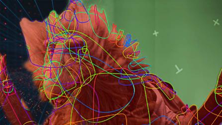 Machine learning rotoscoped image