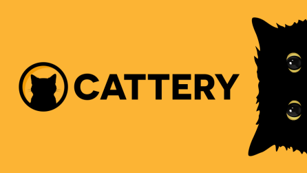 The artists’ guide to Cattery 