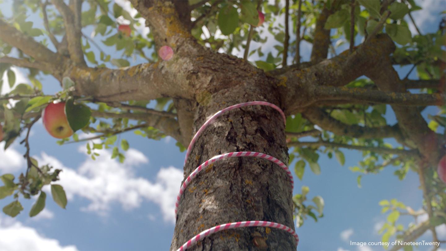 Tree Robinsons advertising made with Nuke Studio