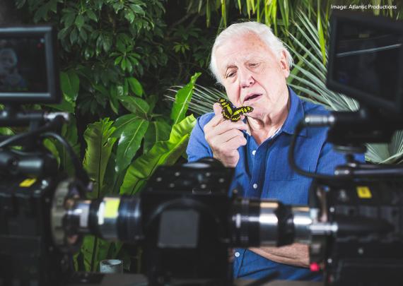 David Attenborough onset of Micro Monsters