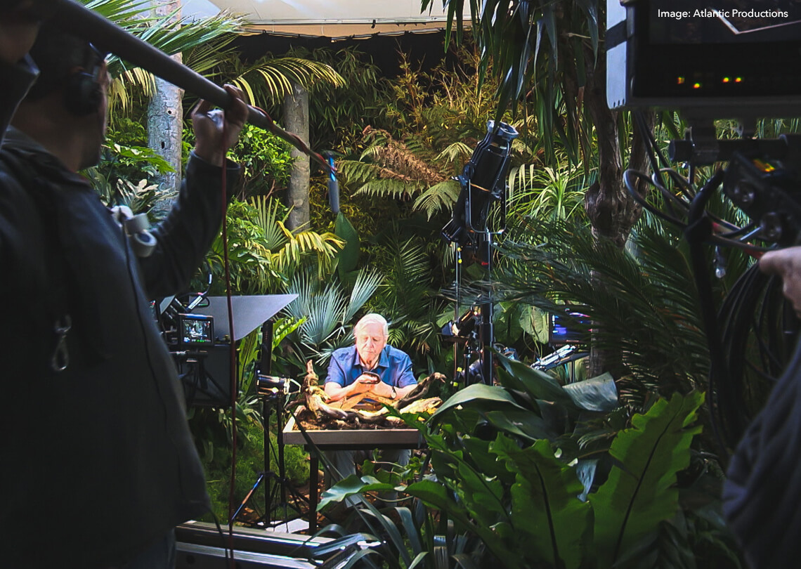 David Attenborough onset of Micro Monsters